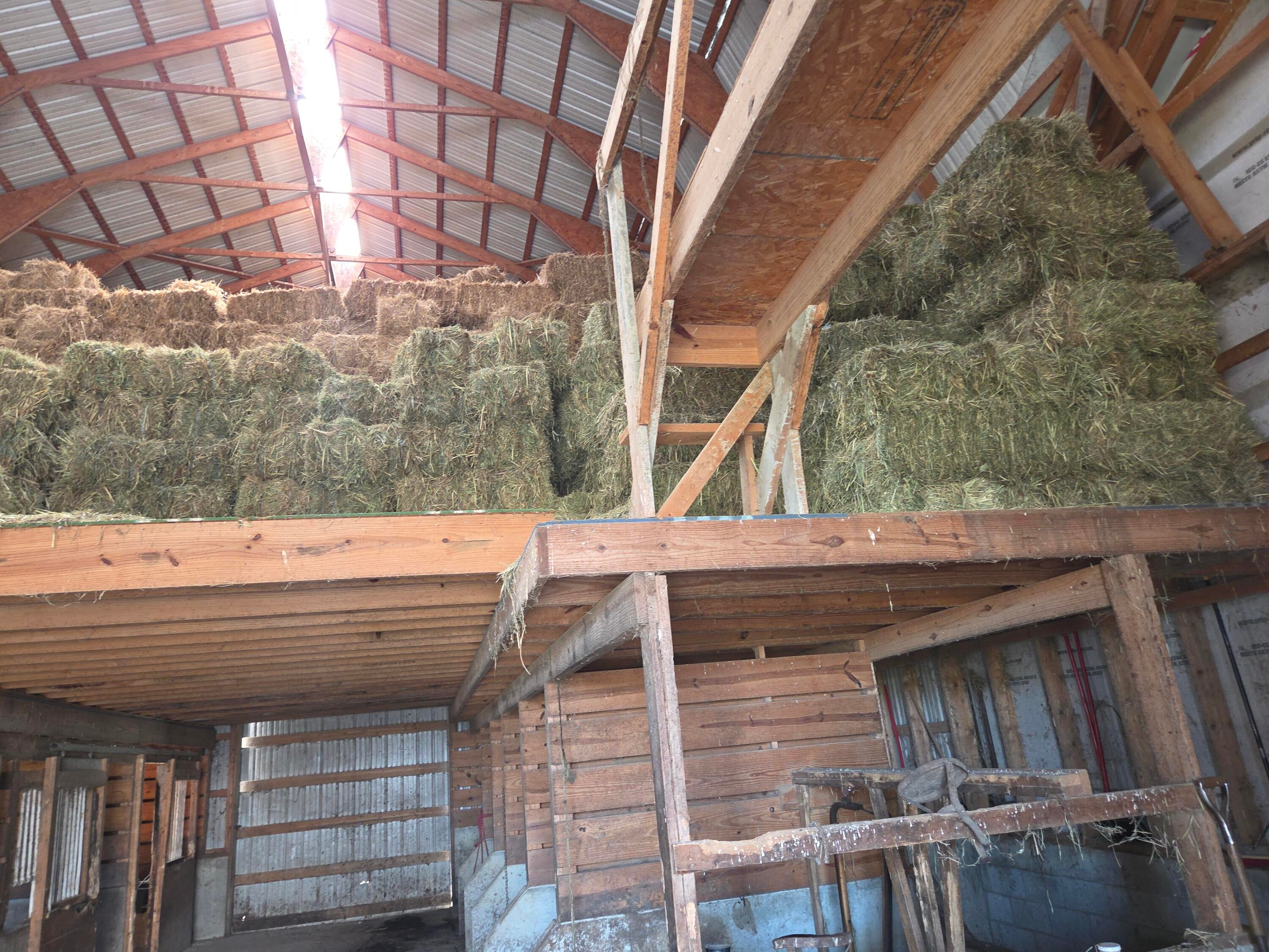 Owingsville, Kentucky, 40360, United States, 10 Bedrooms Bedrooms, ,Residential,Active,1996282