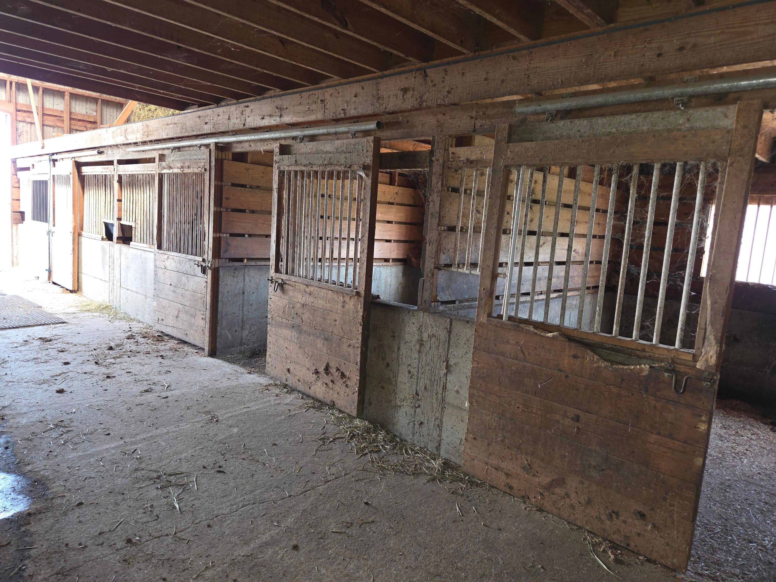 Owingsville, Kentucky, 40360, United States, 10 Bedrooms Bedrooms, ,Residential,Active,1996282