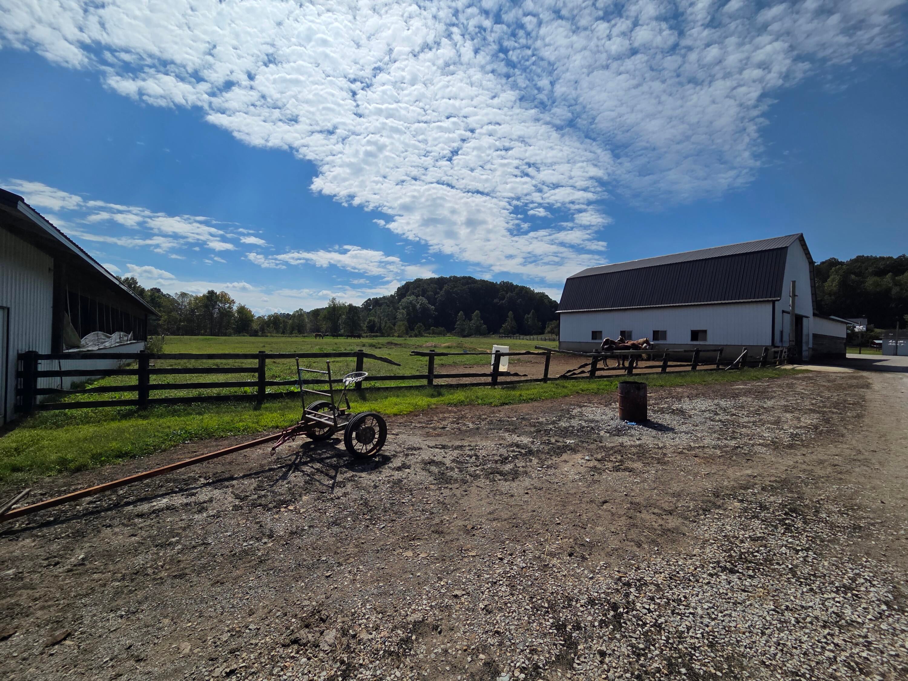 Owingsville, Kentucky, 40360, United States, 10 Bedrooms Bedrooms, ,Residential,Active,1996282