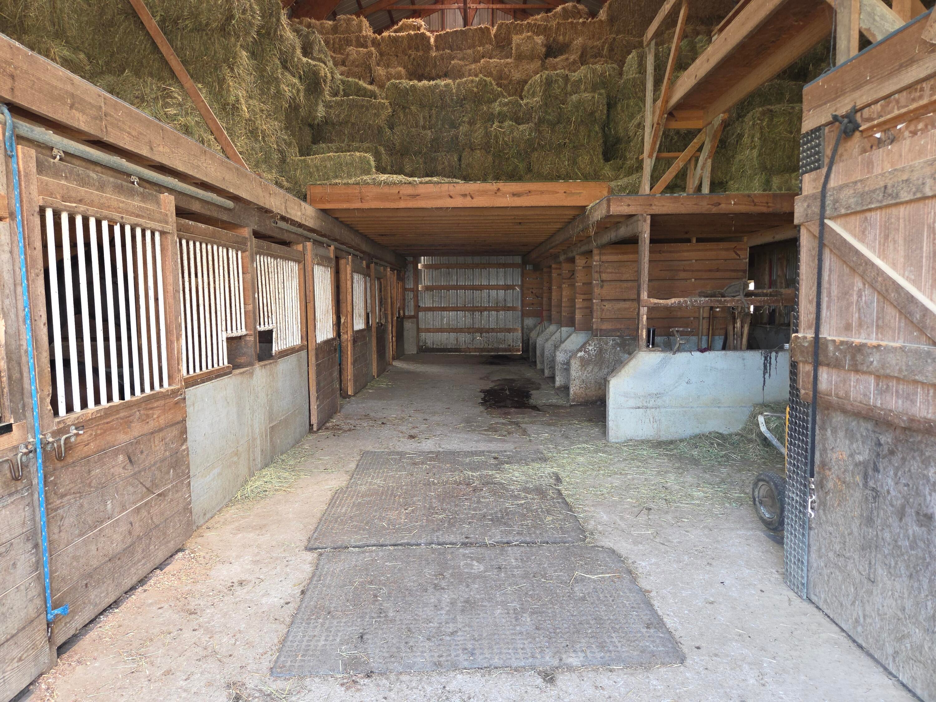 Owingsville, Kentucky, 40360, United States, 10 Bedrooms Bedrooms, ,Residential,Active,1996282