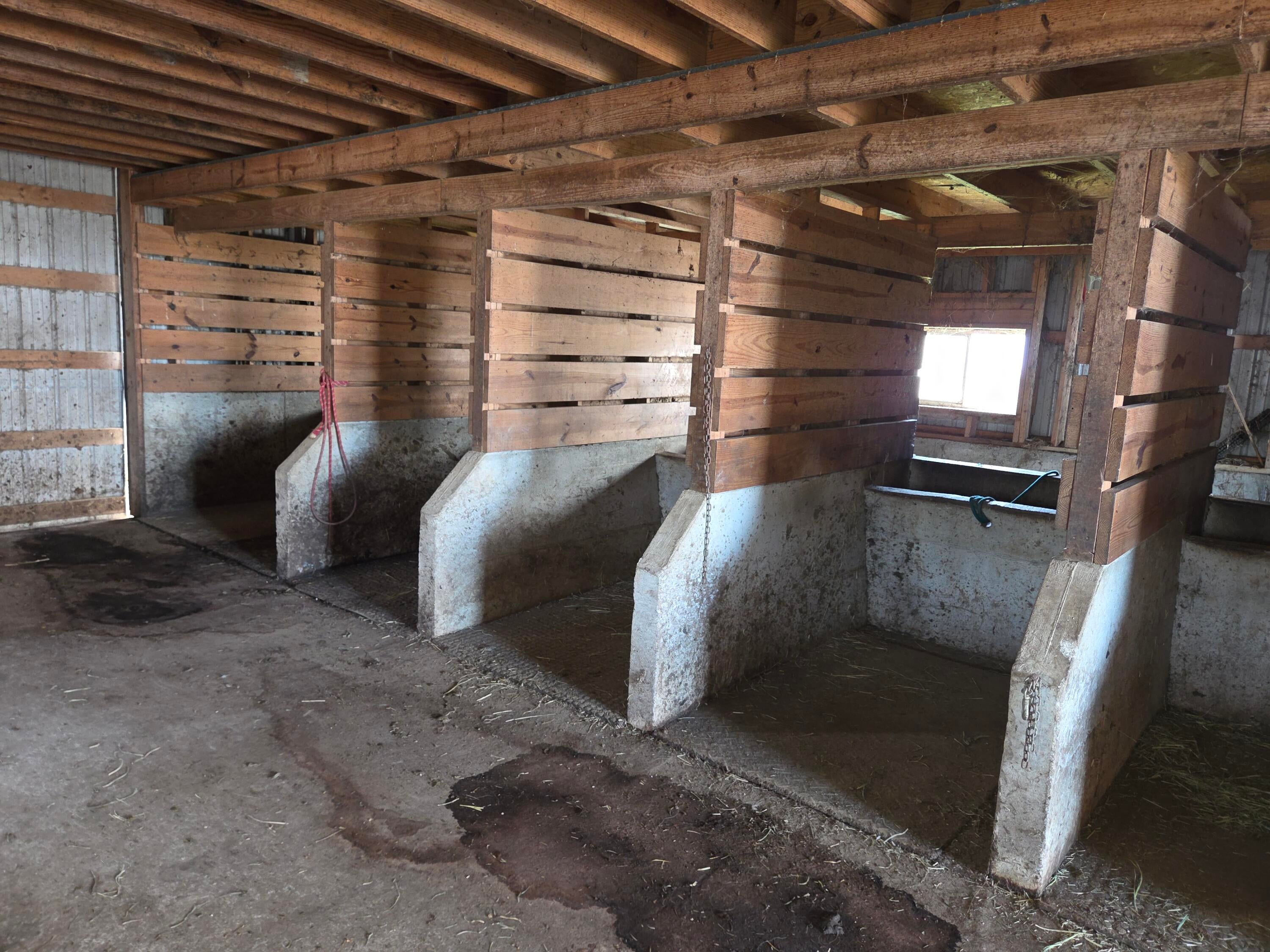 Owingsville, Kentucky, 40360, United States, 10 Bedrooms Bedrooms, ,Residential,Active,1996282