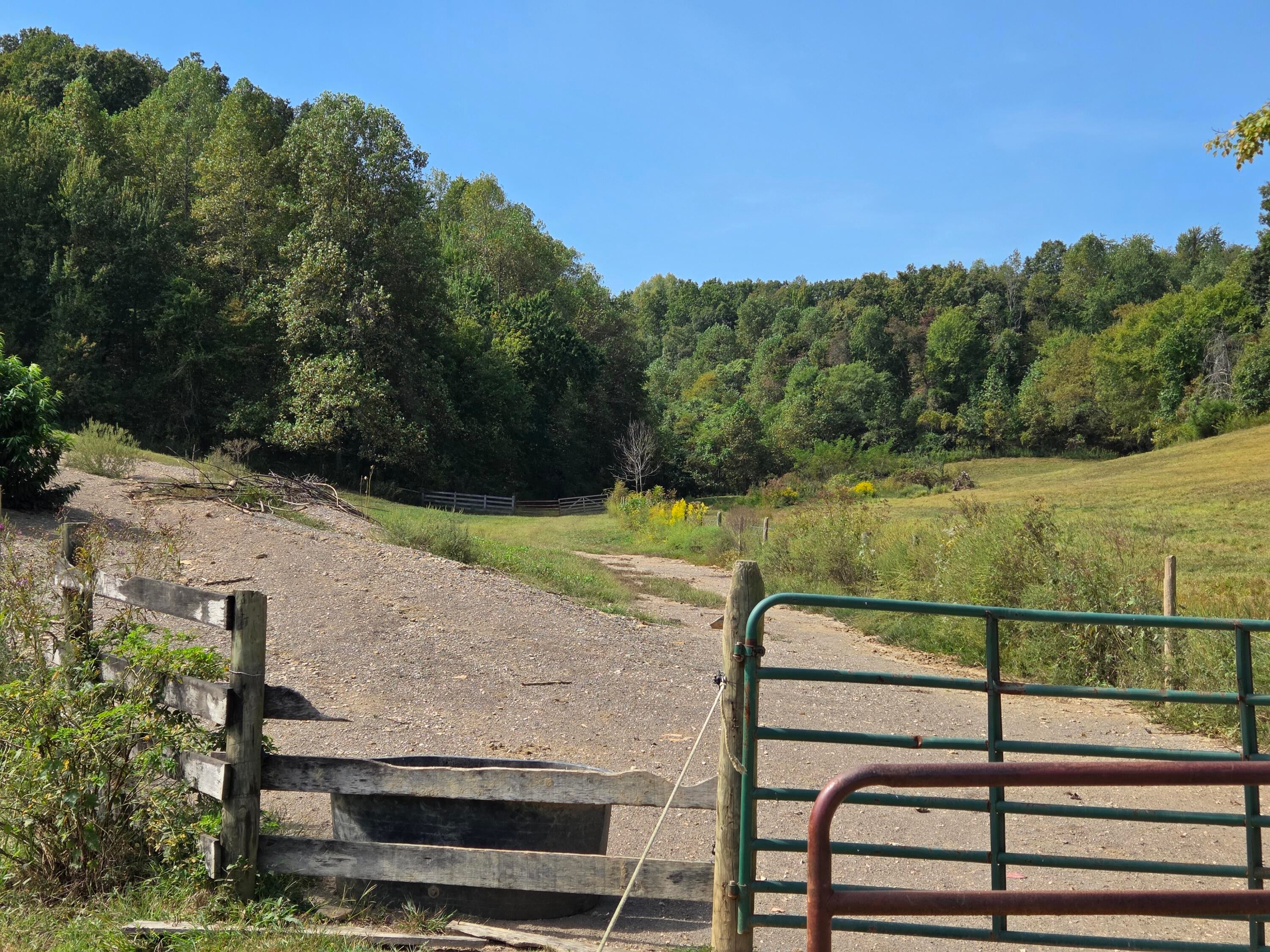 Owingsville, Kentucky, 40360, United States, 10 Bedrooms Bedrooms, ,Residential,Active,1996282