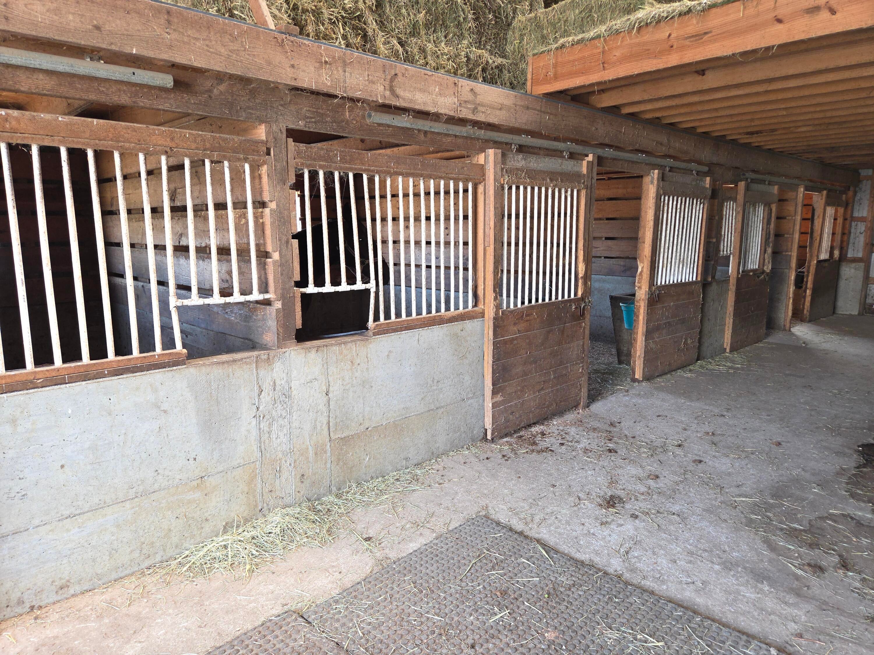 Owingsville, Kentucky, 40360, United States, 10 Bedrooms Bedrooms, ,Residential,Active,1996282