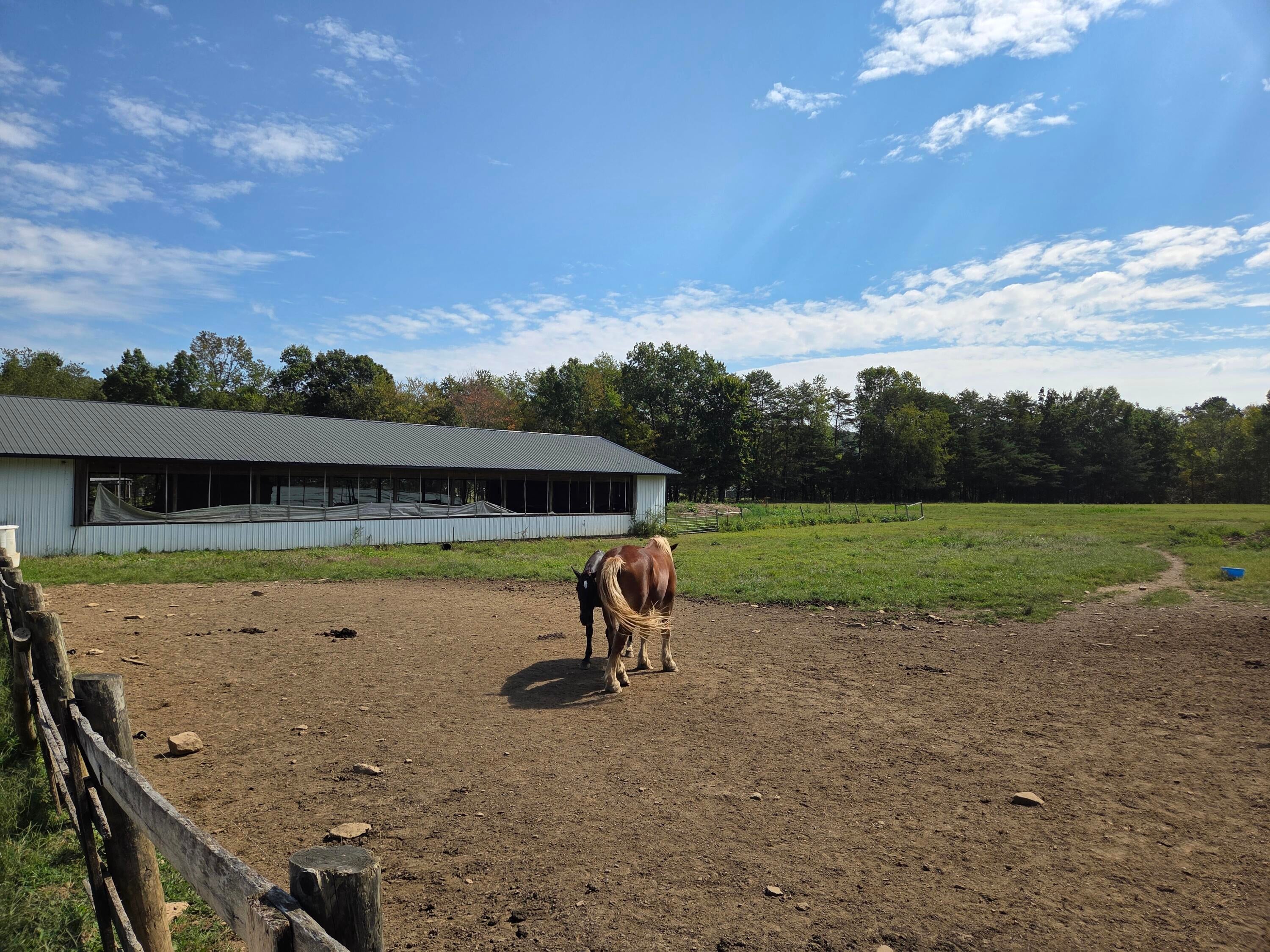 Owingsville, Kentucky, 40360, United States, 10 Bedrooms Bedrooms, ,Residential,Active,1996282
