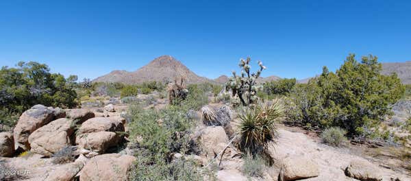 18680 S GUNSMOKE RD, YUCCA, AZ 86438, photo 4 of 57