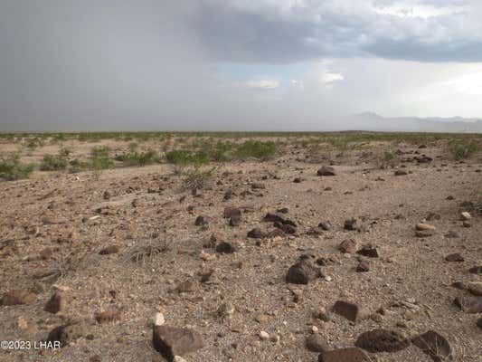 600 SOUTH OF VEGA ROAD, TOPOCK, AZ 86436, photo 2 of 11