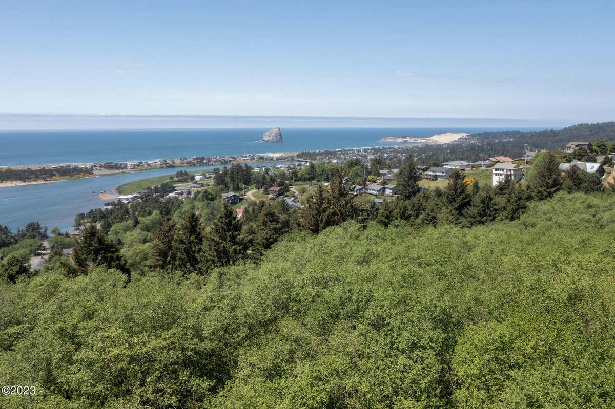 200 ACRES RESORT DR, PACIFIC CITY, OR 97135, photo 1 of 17