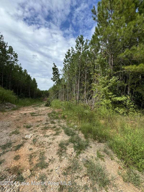 COUNTY ROAD 34 PARCEL F, DADEVILLE, AL 36853, photo 1 of 5