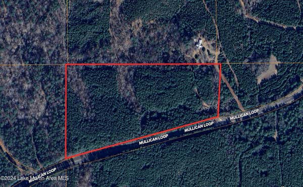 19+/- AC OLD SUSANNA RD, DADEVILLE, AL 36853 - Image 1