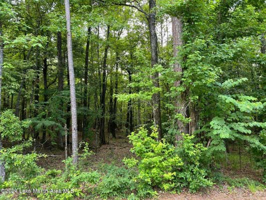 LOT 13 VISTA WOOD DR, DADEVILLE, AL 36853 - Image 1