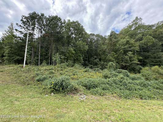 +/-2 ACRES US HWY 280 EAST, ALEXANDER CITY, AL 35010, photo 4 of 16