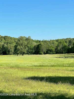 SANFORD RD RD, ALEXANDER CITY, AL 35010, photo 2 of 17