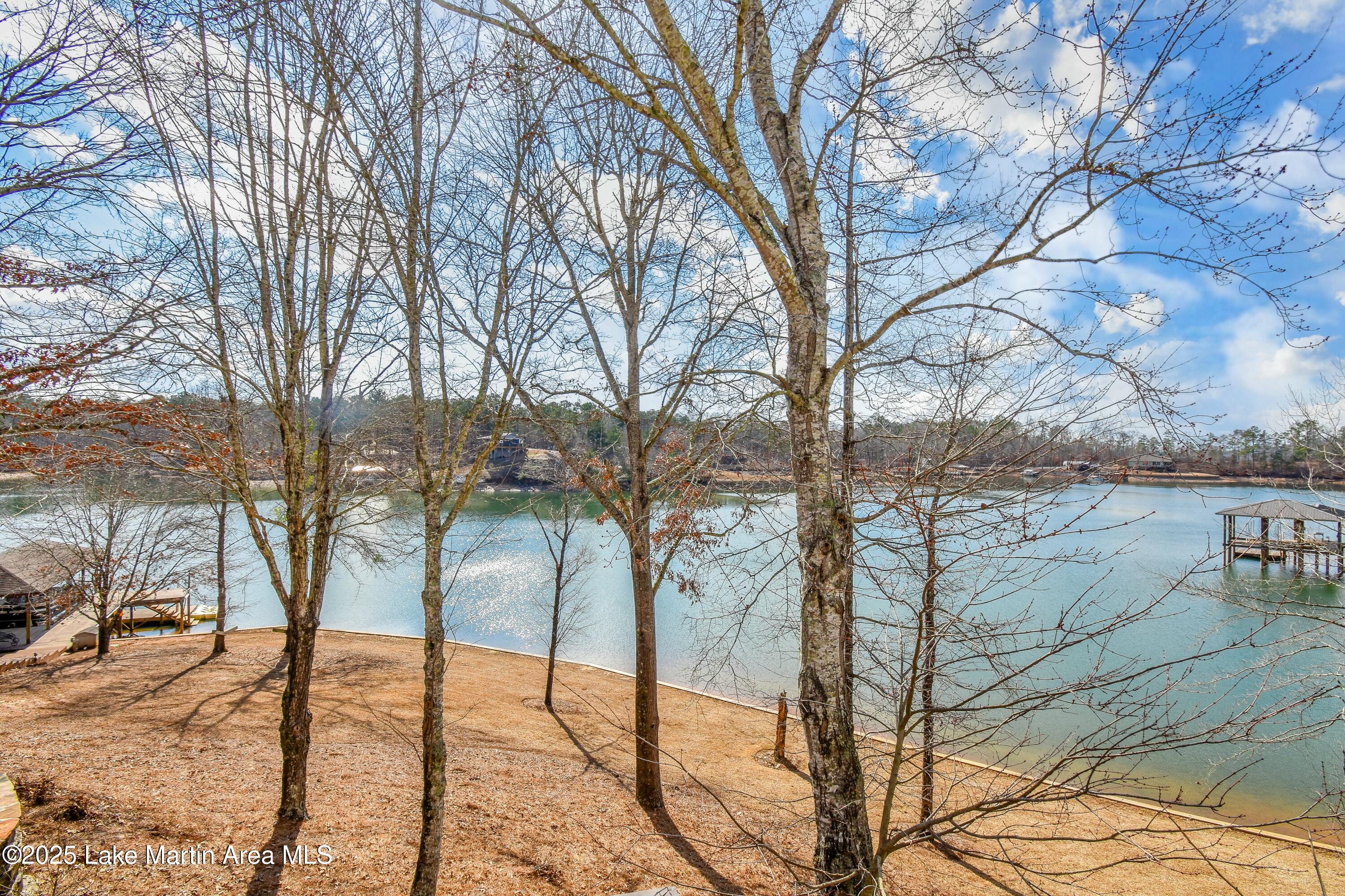 Jacksons Gap, Alabama, 36861, United States, ,5 BathroomsBathrooms,Residential,Active,1770190