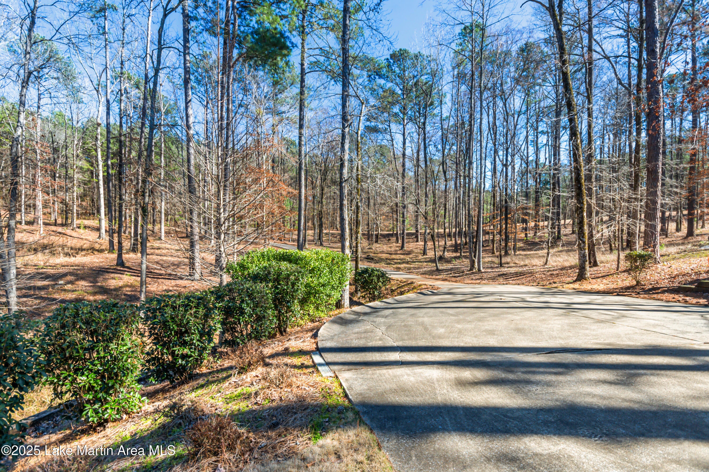 Jacksons Gap, Alabama, 36861, United States, 3 Bedrooms Bedrooms, ,4 BathroomsBathrooms,Residential,Active,1756381