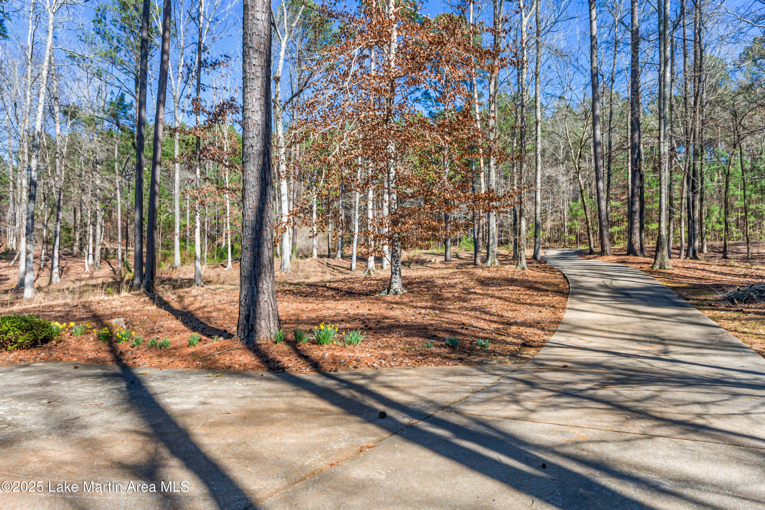 Jacksons Gap, Alabama, 36861, United States, 3 Bedrooms Bedrooms, ,4 BathroomsBathrooms,Residential,Active,1756381