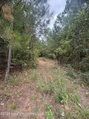 0 ROCK SPRINGS RD, JACKSONS GAP, AL 36861 - Image 1