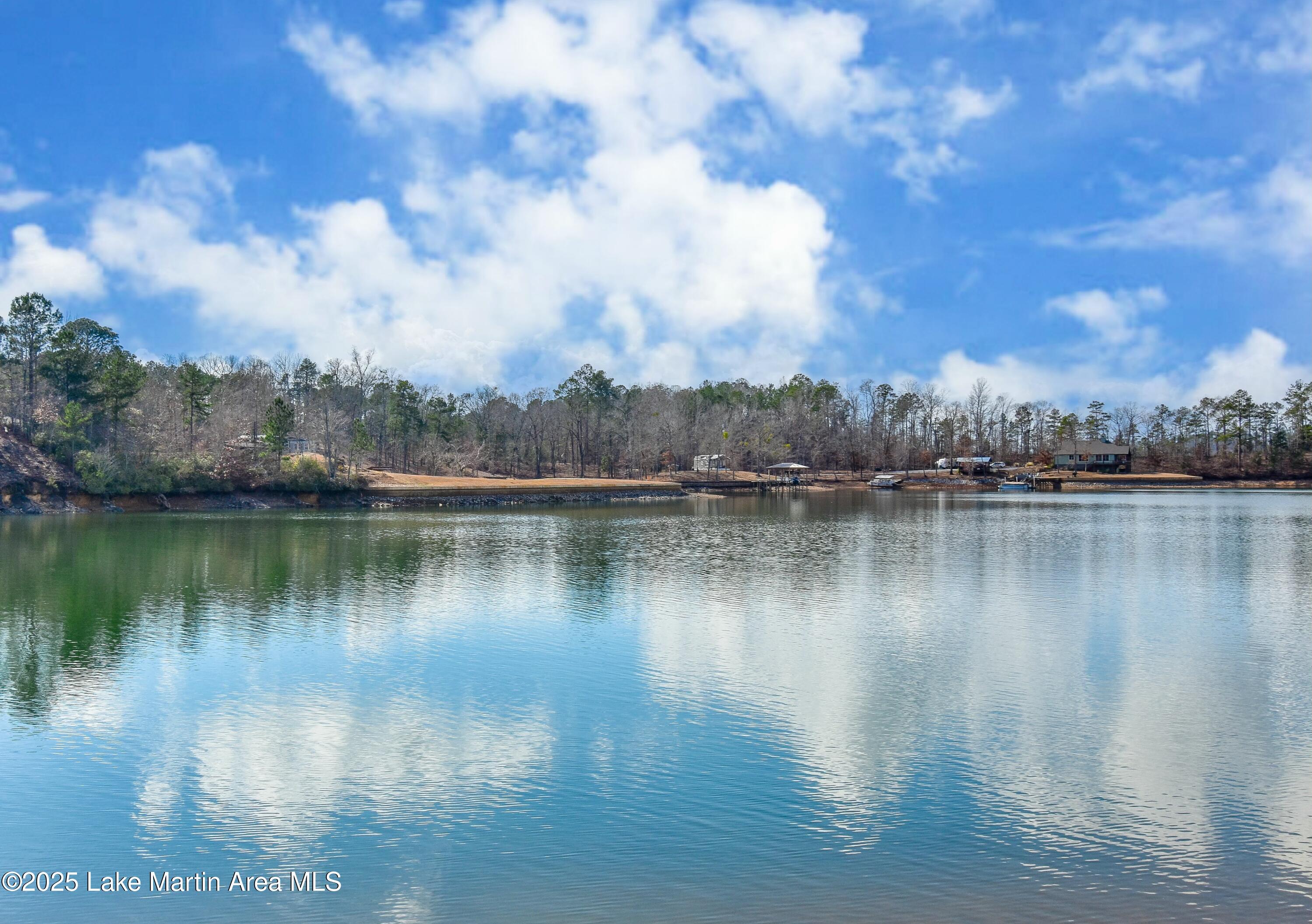 Jacksons Gap, Alabama, 36861, United States, 5 Bedrooms Bedrooms, ,5 BathroomsBathrooms,Residential,Active,2009826