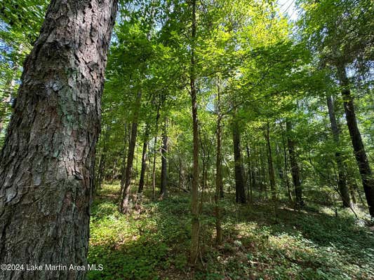 17+/- ACRE 8TH ST SW, LANETT, AL 36863 - Image 1