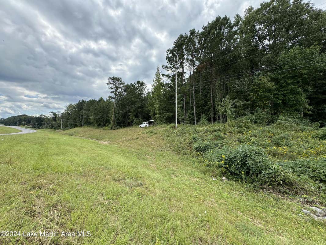 +/-2 ACRES US HWY 280 EAST, ALEXANDER CITY, AL 35010, photo 1 of 16