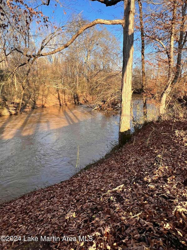 SANFORD RD RD, ALEXANDER CITY, AL 35010, photo 1 of 17