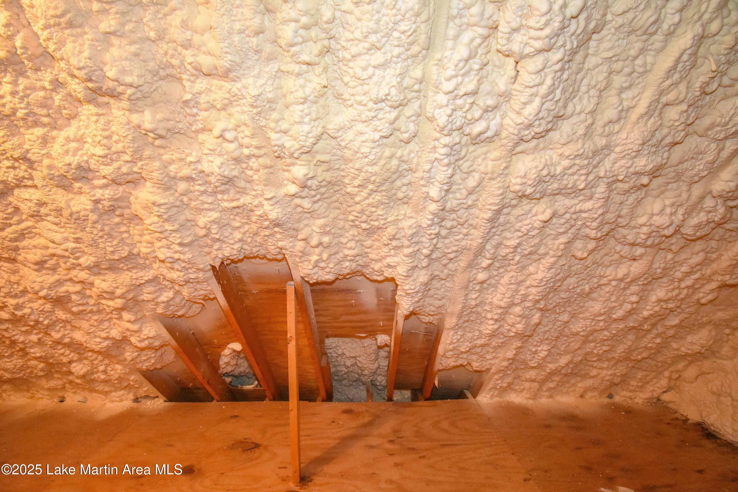 Jacksons Gap, Alabama, 36861, United States, 5 Bedrooms Bedrooms, ,5 BathroomsBathrooms,Residential,Active,2009826