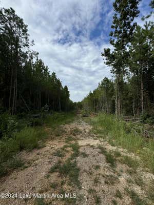 COUNTRY ROAD 34 PARCEL A, DADEVILLE, AL 36853 - Image 1