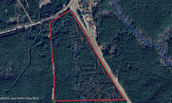 22.87+/-AC MULLICAN RD, DADEVILLE, AL 36853 - Image 1