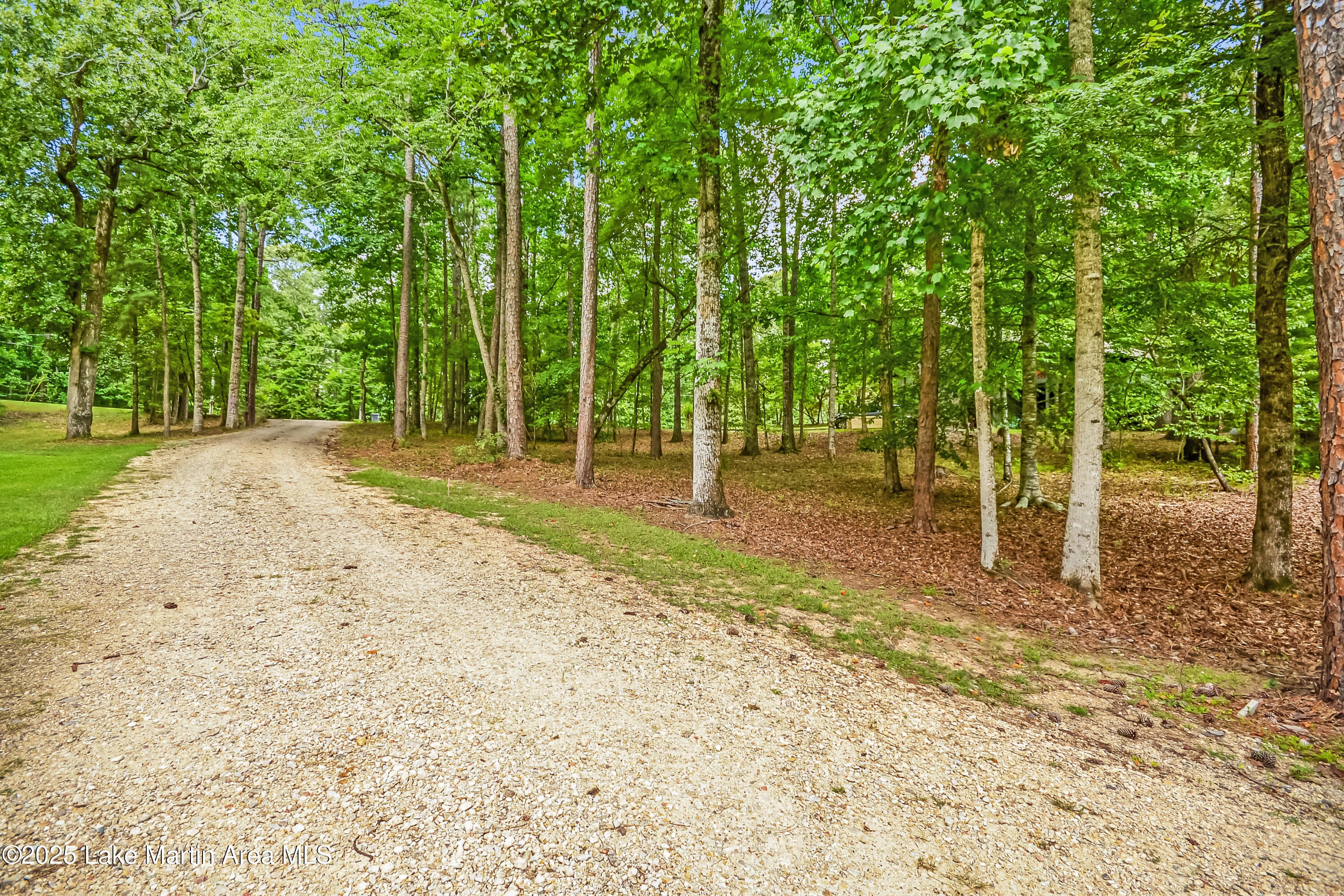 Dadeville, Alabama, 36853, United States, 5 Bedrooms Bedrooms, ,4 BathroomsBathrooms,Residential,Active,1898205