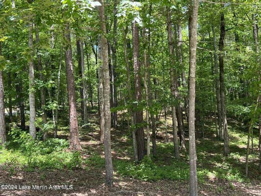 LOT 14 VISTA WOOD DR, DADEVILLE, AL 36853 - Image 1