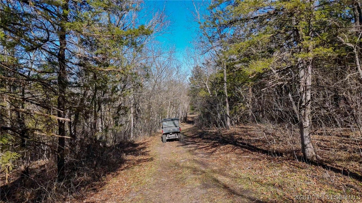 Richland, Missouri, 65556, United States, 3 Bedrooms Bedrooms, ,2 BathroomsBathrooms,Residential,Active,2006877