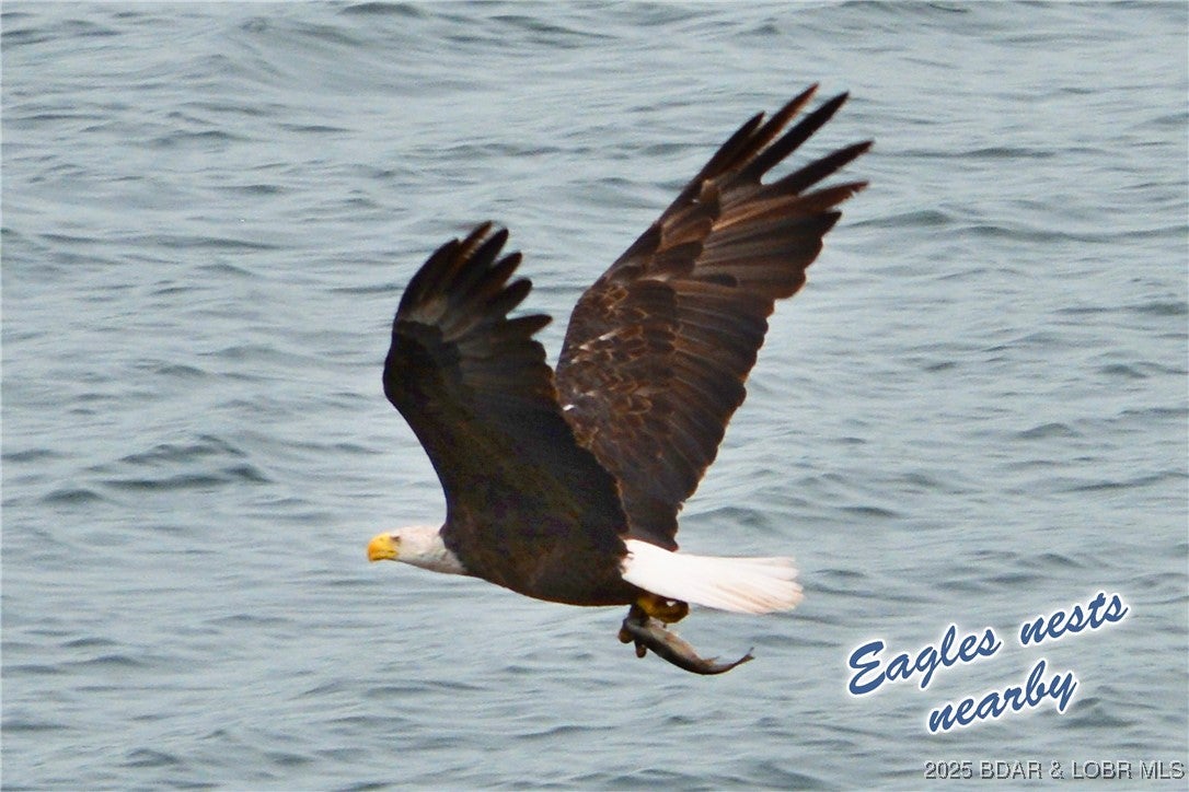 Porto Cima, Missouri, 65079, United States, 5 Bedrooms Bedrooms, ,6 BathroomsBathrooms,Residential,Active,1989748