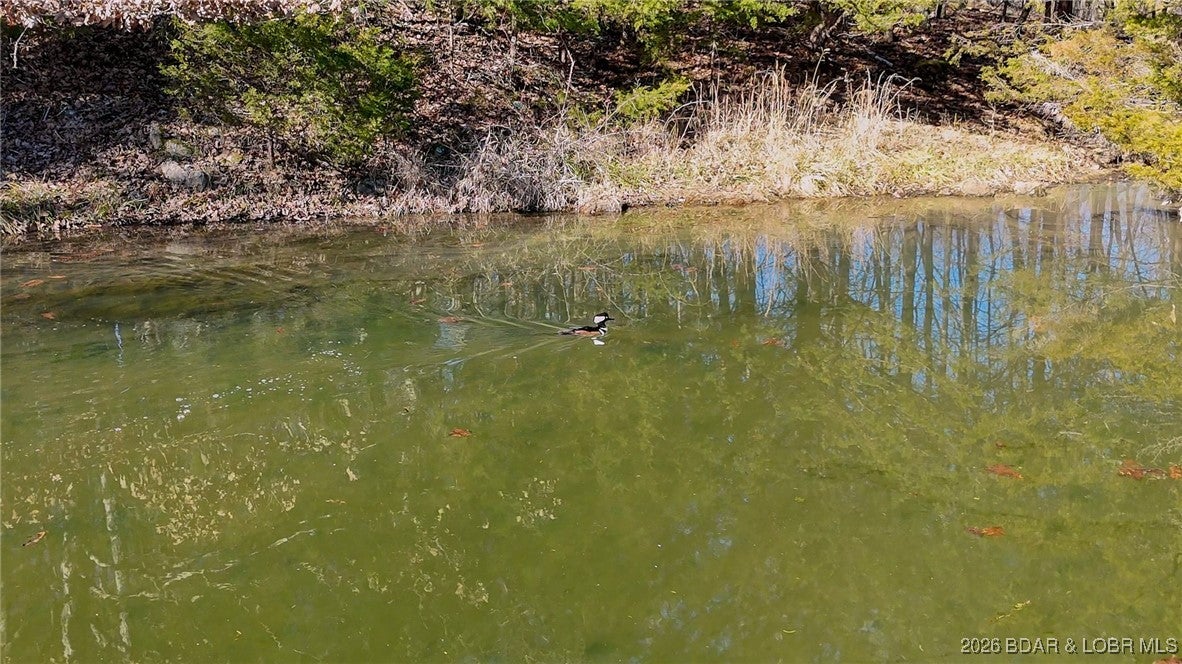 Richland, Missouri, 65556, United States, 3 Bedrooms Bedrooms, ,2 BathroomsBathrooms,Residential,Active,2006877