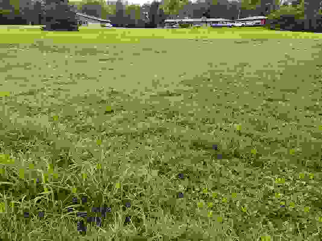 0000 CITY HEIGHTS Rd  