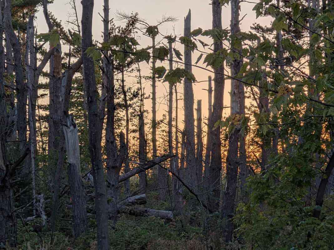 9 58 ACRES ON PETERSON HILL Rd  