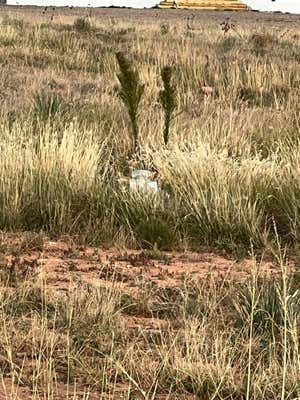 0 PRIVATE ROAD ROAD, LEVELLAND, TX 79336, photo 2 of 3