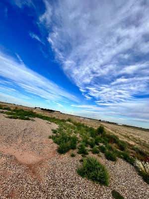 0 PRIVATE ROAD ROAD, LEVELLAND, TX 79336, photo 3 of 3