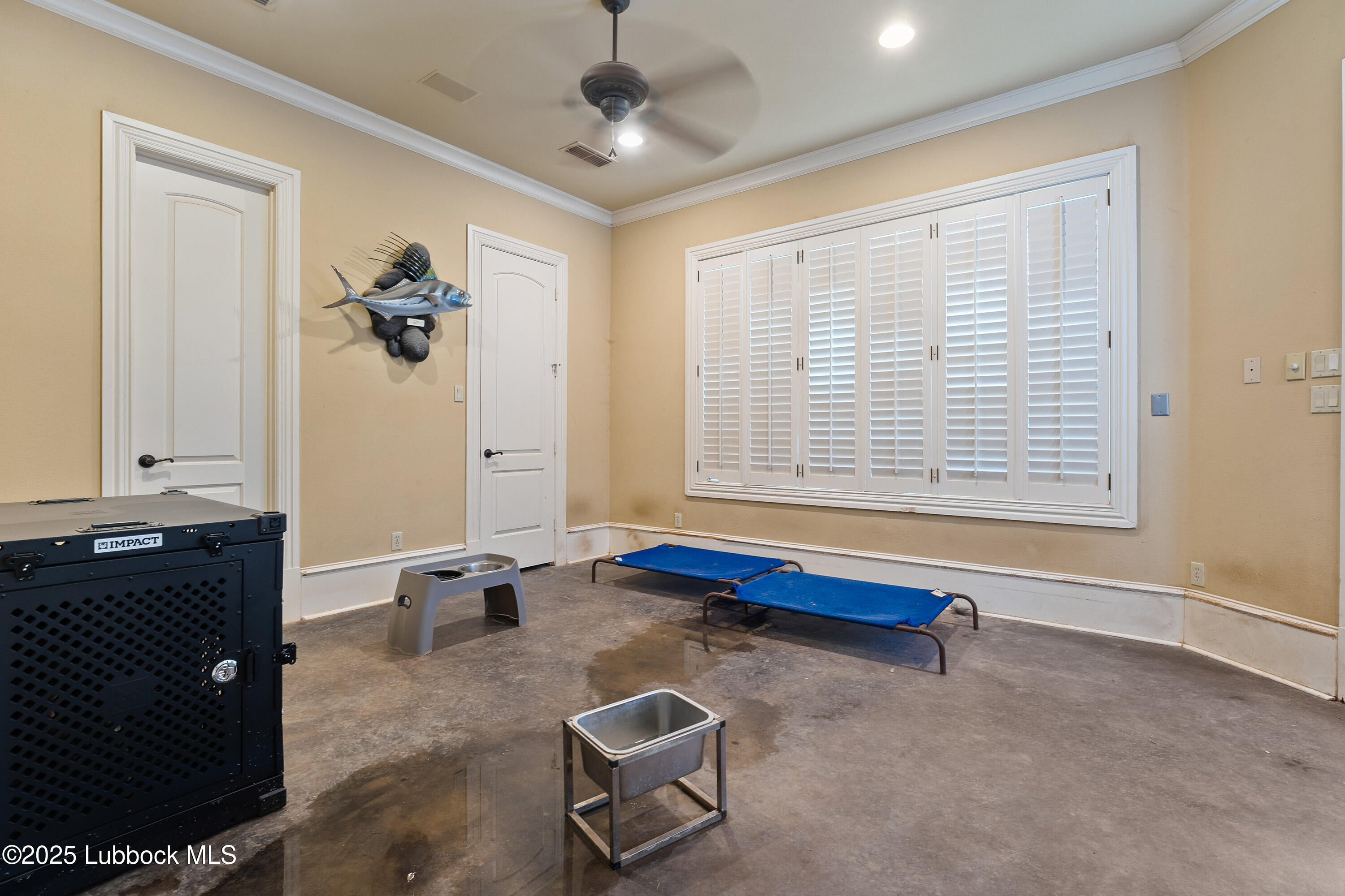 Lubbock, Texas, 79424, United States, 6 Bedrooms Bedrooms, ,8 BathroomsBathrooms,Residential,Active,1929701