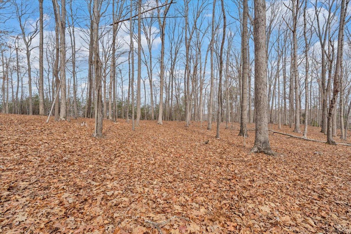 Huddleston, Virginia, 24104, United States, 5 Bedrooms Bedrooms, ,4 BathroomsBathrooms,Residential,Active,2023930