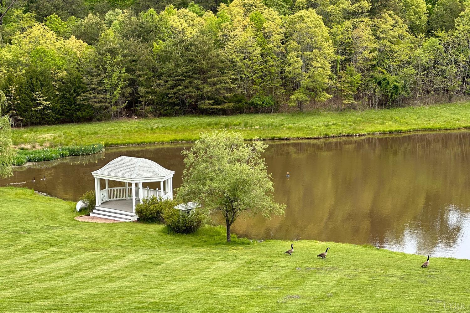 Forest, Virginia, 24551, United States, 5 Bedrooms Bedrooms, ,7 BathroomsBathrooms,Residential,Active,2007134