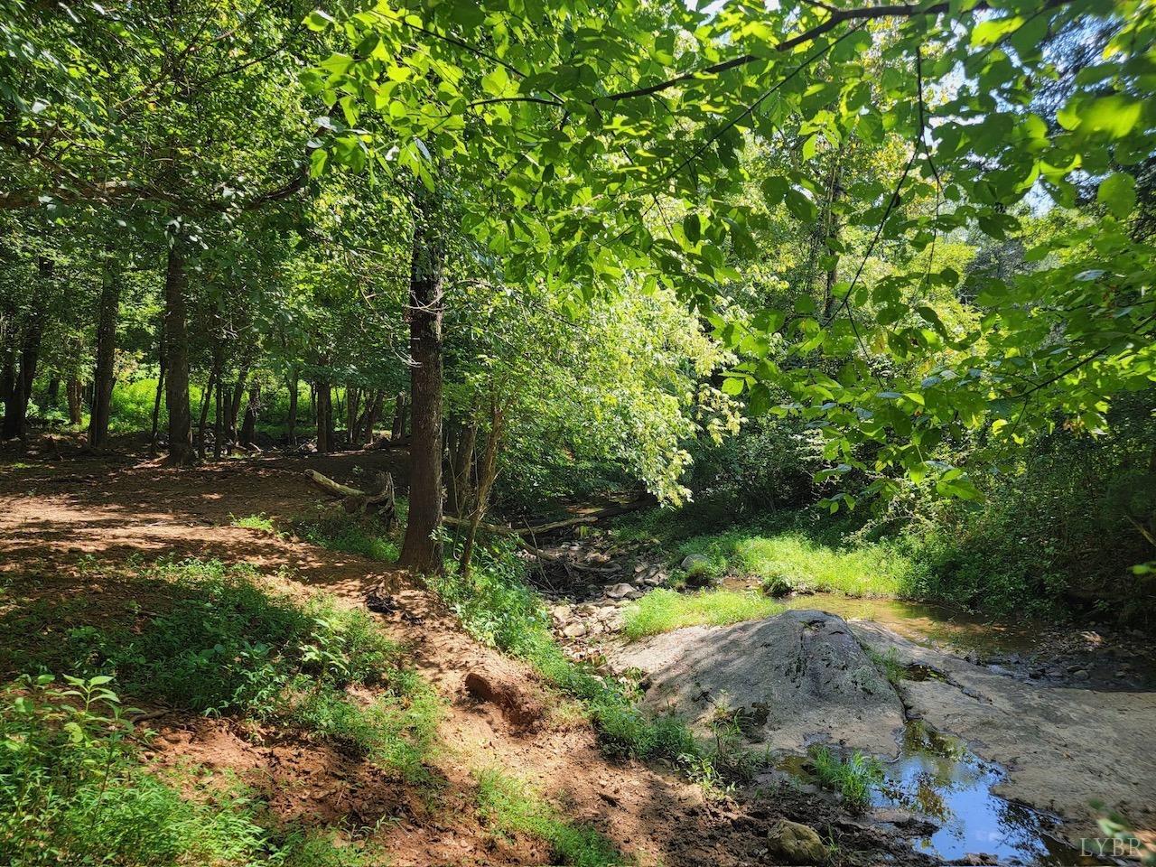 Goode, Virginia, 24556, United States, 4 Bedrooms Bedrooms, ,6 BathroomsBathrooms,Residential,Active,1703981