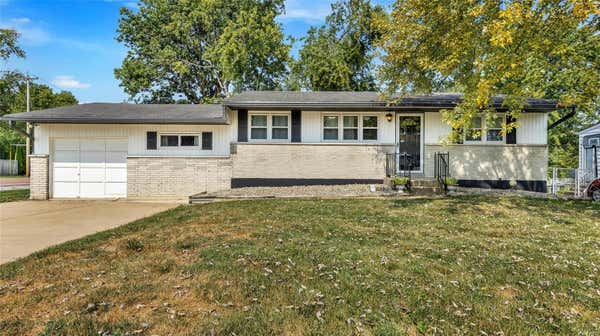 10553 FABICK DR, SAINT LOUIS, MO 63123 - Image 1