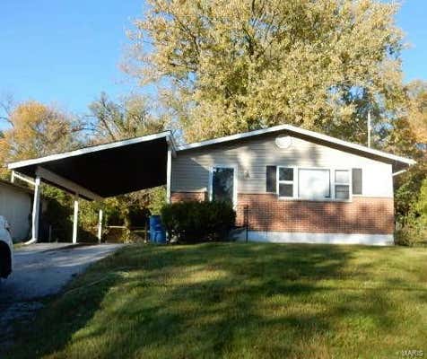 10137 GREEN VALLEY DR, SAINT LOUIS, MO 63136 - Image 1