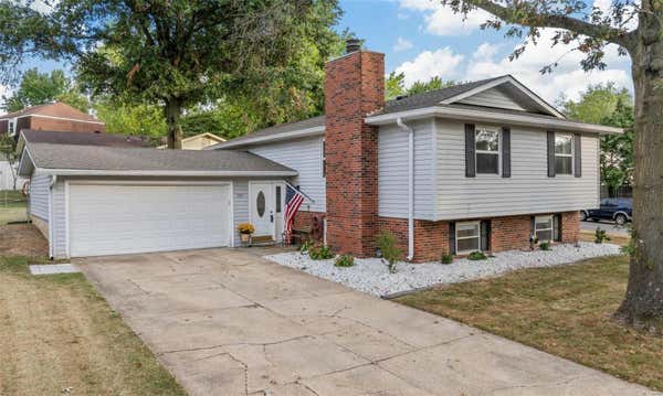 207 PLUM TREE DR, SAINT PETERS, MO 63376 - Image 1