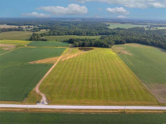 0 DUFF SCHOOL RD. (16+/- ACRES), SILEX, MO 63377 - Image 1