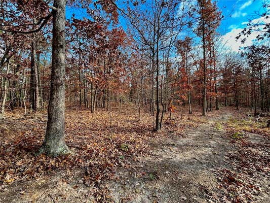 2 TRACT 2 HIGHWAY VV, LICKING, MO 65542 - Image 1