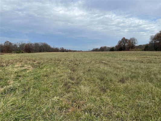 10 +/- ACRES SNYDER ROAD, TROY, MO 63379, photo 4 of 5