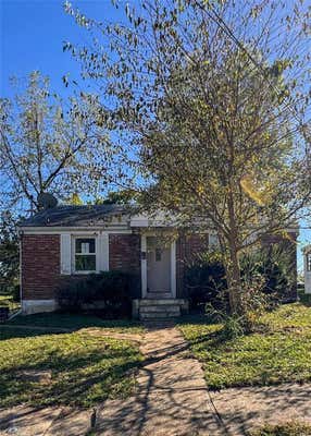 411 FRANKLIN ST, FREDERICKTOWN, MO 63645 - Image 1