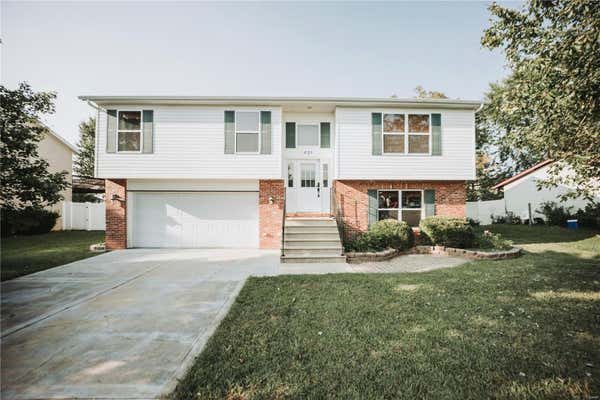 421 DOUGLAS AVE, MASCOUTAH, IL 62258 - Image 1