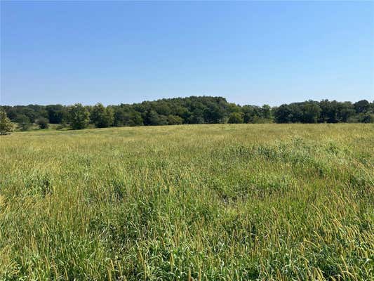 22 ACRES ON HWY C, OLD MONROE, MO 63369 - Image 1