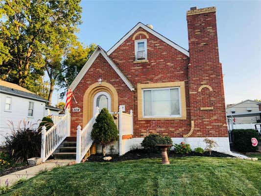 504 W RIPA AVE, SAINT LOUIS, MO 63125 - Image 1